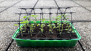 Podprn zahradn s ORLITECH 2,2 mm, oko 50 x 50 mm - balen - 0,8 x 3 m - 2,4 m2