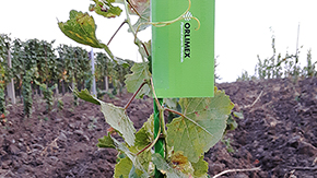 Zahradn ty ORLITECH - prmr 8 mm, dlka 1,5 m, zelen