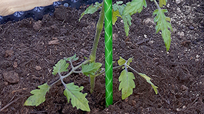 Zahradn ty ORLITECH - prmr 8 mm, dlka 2 m, zelen