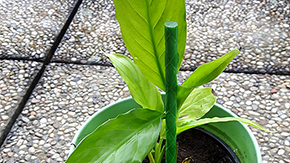 Zahradn ty ORLITECH - prmr 8 mm, dlka 1,5 m, zelen